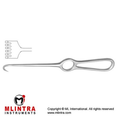 Volkmann Retractor 6 Blunt Prongs - Hollow Handle Stainless Steel, 21.5 cm - 8 1/2"